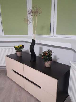 Апартаменты Апартаменти Відродження 50а Луцк Апартаменты с 2 спальнями-4